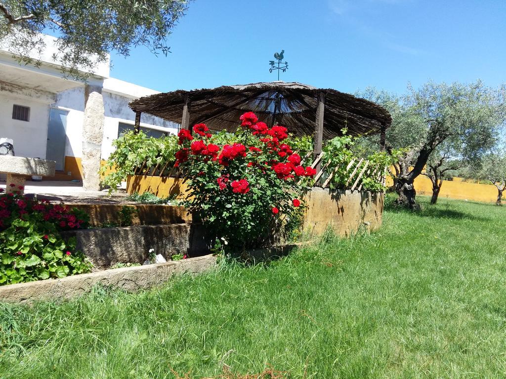 Quinta Da Mina Villa Monsanto Eksteriør bilde